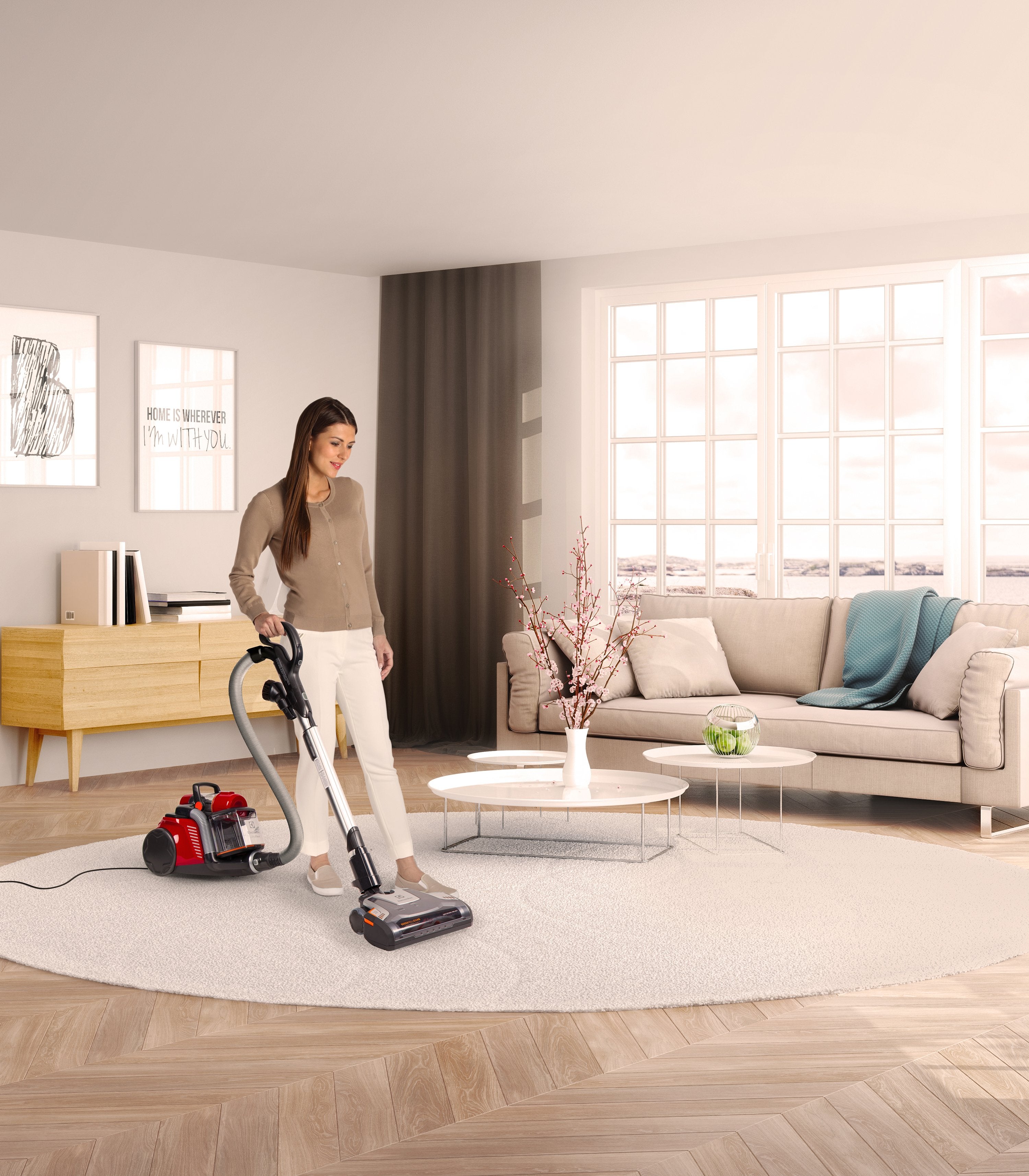 Electrolux EL4335B UltraFlex Bagless Canister Vacuum Cleaner